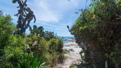 Paesaggio naturale nelle vicinanze dell'appartamento