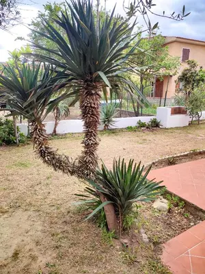 Giardino di La Padula