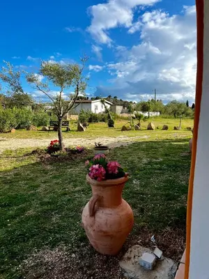 Giardino di Villa Grecale