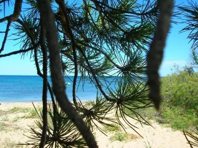 Paesaggio naturale nelle vicinanze della casa vacanze