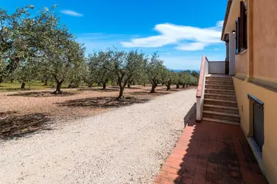 Planimetria di Rustico degli Ulivi
