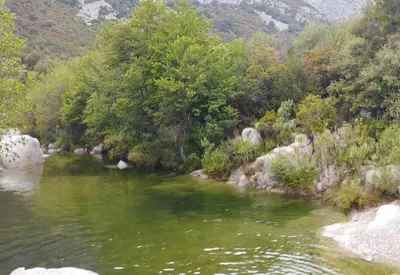 Paesaggio naturale nelle vicinanze dell'appartamento
