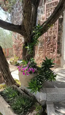 Giardino di Splendida villa in riva al mare