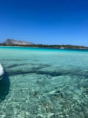 Paesaggio naturale nelle vicinanze dell'appartamento
