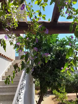 Giardino di Il Lentischio holiday home