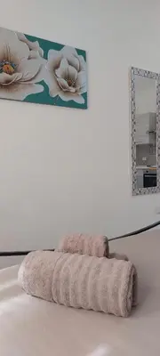 Letto o letti in una camera di Camera con angolo cottura