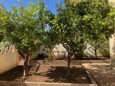 Giardino di Under the Lemon Tree