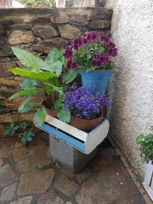 Giardino di da Vale e Tea