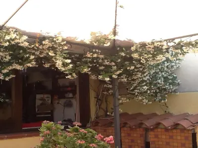 Planimetria di Guesthouse Nuvole