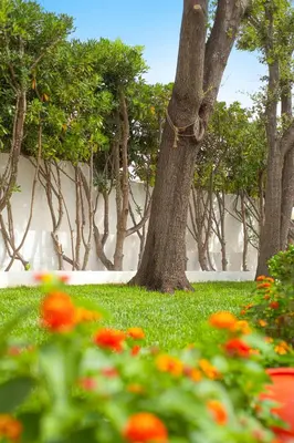 Giardino di Casa Masini San Teodoro