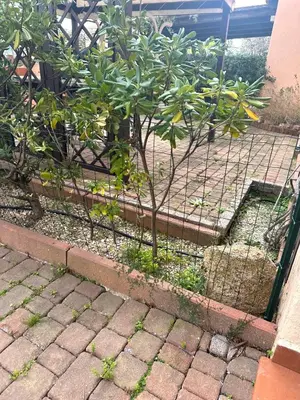 Planimetria di Trilocale i Fenicotteri