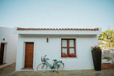 Attività di ciclismo presso l'hotel o nelle vicinanze