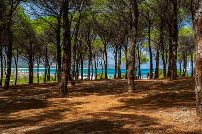 Paesaggio naturale nelle vicinanze dell'aparthotel
