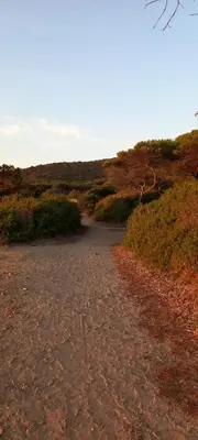 Paesaggio naturale nelle vicinanze dell'appartamento