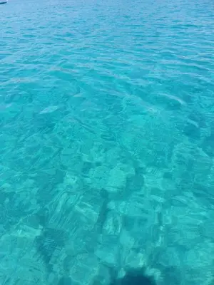 Paesaggio naturale nelle vicinanze della casa vacanze
