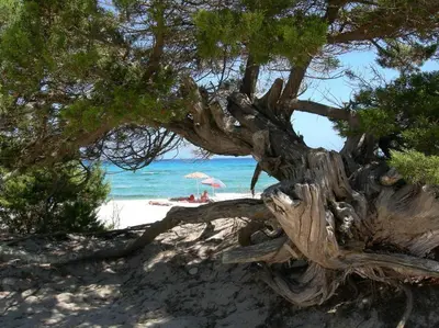 Paesaggio naturale nelle vicinanze dell'appartamento