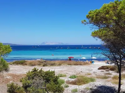 Paesaggio naturale nelle vicinanze della casa vacanze