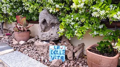 Giardino di Appartamento Dolce Vita San Teodoro