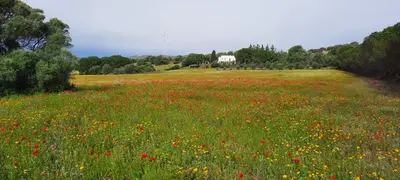Paesaggio naturale nelle vicinanze dell'appartamento