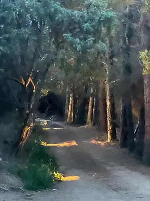 Paesaggio naturale nelle vicinanze dell'appartamento
