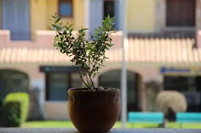 Giardino di Appartamento Le Vele2