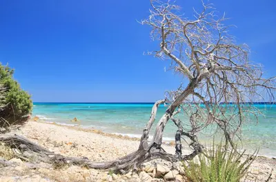 Paesaggio naturale nelle vicinanze dell'aparthotel