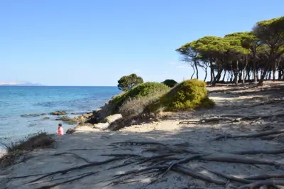 Paesaggio naturale nelle vicinanze della villa