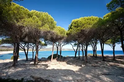 Paesaggio naturale nelle vicinanze della casa vacanze