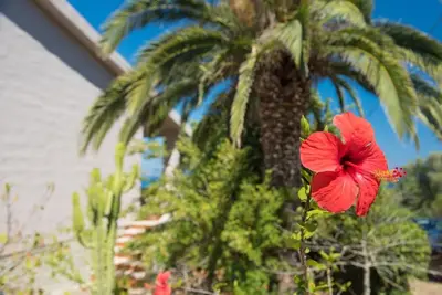 Giardino di Casa Cala Liberotto a 100 metri dalla spiaggia