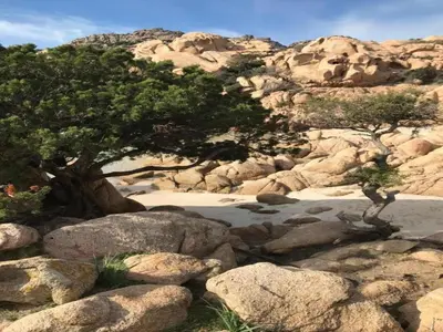 Paesaggio naturale nelle vicinanze dell'appartamento