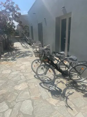 Attività di ciclismo presso il bed & breakfast o nelle vicinanze