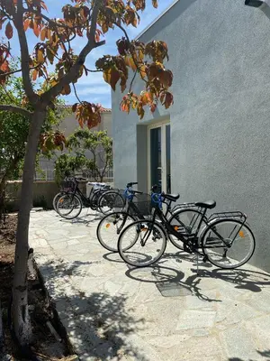 Attività di ciclismo presso il bed & breakfast o nelle vicinanze