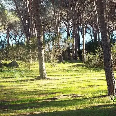 SPIAGGIA VICINA A Piedi