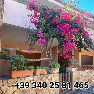 L'accogliente Casa Ginepro