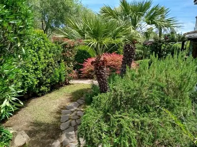 Giardino di Oasi Boungaville