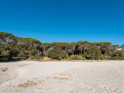 Paesaggio naturale nelle vicinanze dell'appartamento