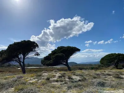 Paesaggio naturale nelle vicinanze della casa vacanze