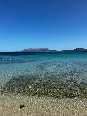 Paesaggio naturale nelle vicinanze dell'appartamento