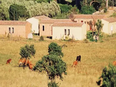 Altri animali domestici presso il bed & breakfast o nei dintorni