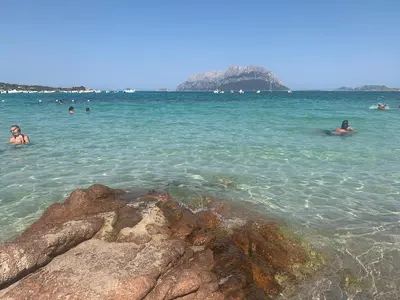 Paesaggio naturale nelle vicinanze dell'appartamento