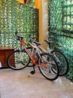 Attività di ciclismo presso la casa vacanze o nelle vicinanze