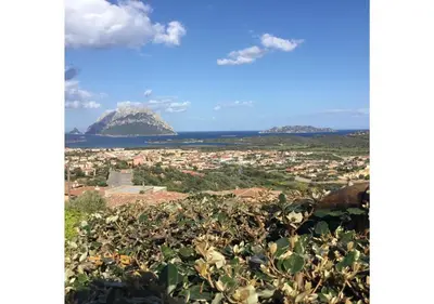 Paesaggio naturale nelle vicinanze della villa