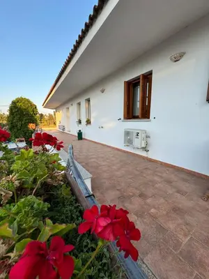 Giardino di B&B Il Glicine