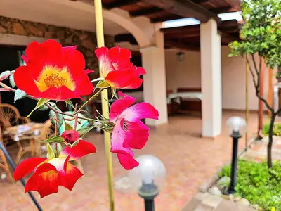 Giardino di Domo Diana