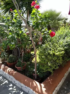 Giardino di Gollai House