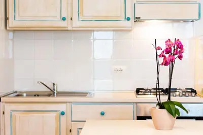 Cucina o angolo cottura di ISA-Appartamenti Baia Marina