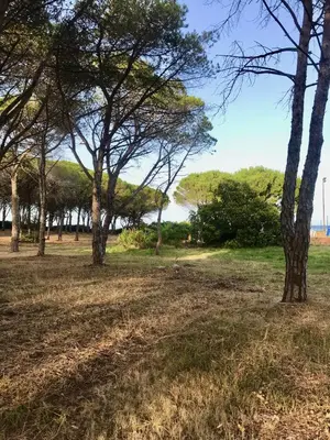 Paesaggio naturale nelle vicinanze della casa vacanze