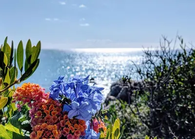 Paesaggio naturale nelle vicinanze dell'appartamento