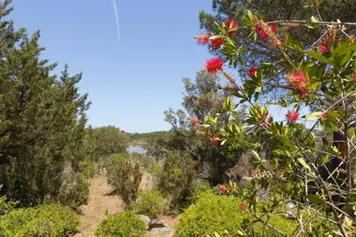 Paesaggio naturale nelle vicinanze della casa vacanze