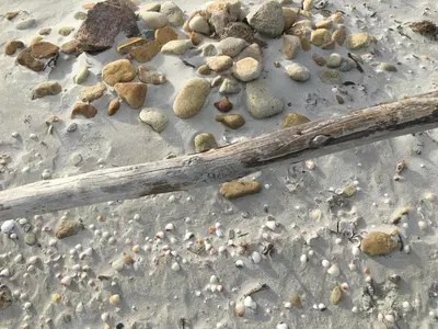 Planimetria di Villetta DESSANAI